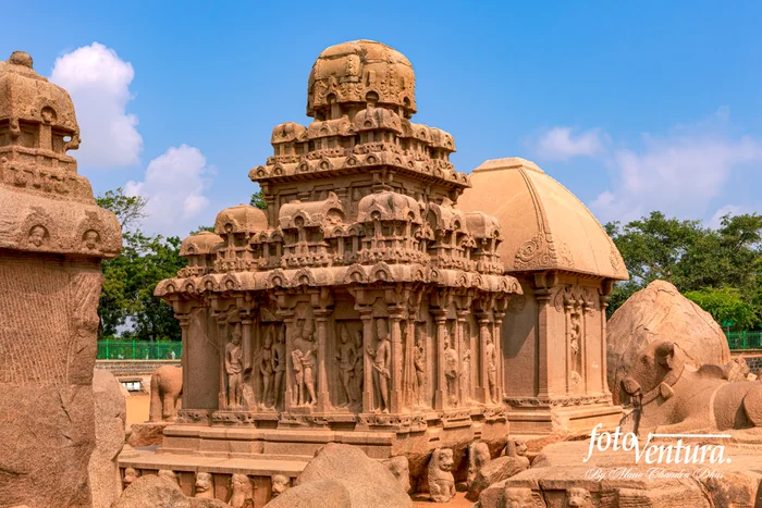 Mahabalipuram, India: 7th Century Arjuna, Draupadi Rathas, sculpted in Granite