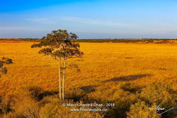 The Masai Mara National Reserve In Kenya, East Africa, At Sunrise; No People, no Animals