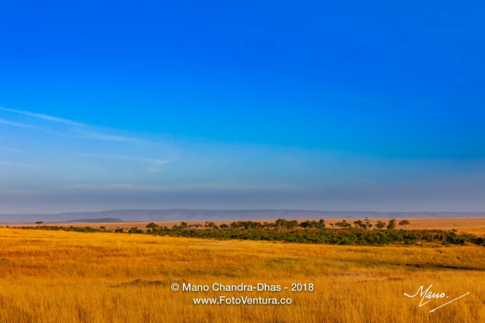 Aerial View Of The Masai Mara National Reserve In Kenya, East Africa, At Sunrise; No People.