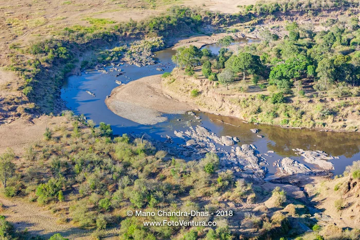 Kenya, East Africa - The Mara River In the Dry Season And SOme Hippopotami In The Water - Aerial Shot From Hot Air Balloon