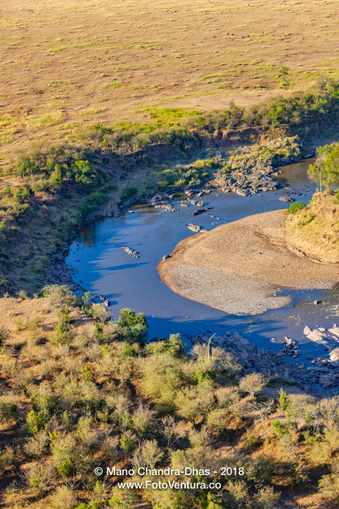 Kenya, East Africa - The Mara River In the Dry Season And SOme Hippopotami In The Water - Aerial Shot From Hot Air Balloon