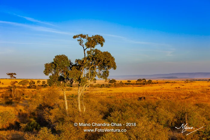 The Masai Mara National Reserve In Kenya, East Africa, At Sunrise; No People, no Animals