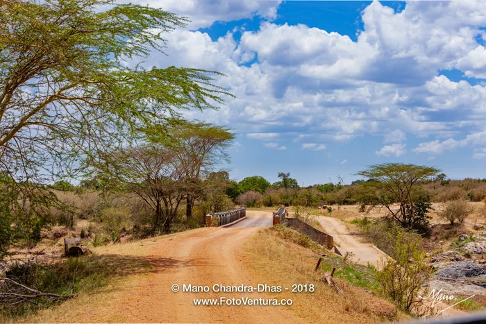 Mara Bridge 1