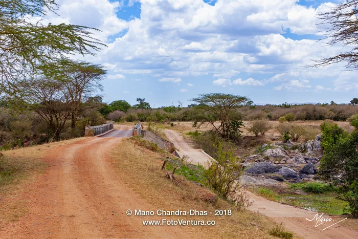 Mara Bridge 2