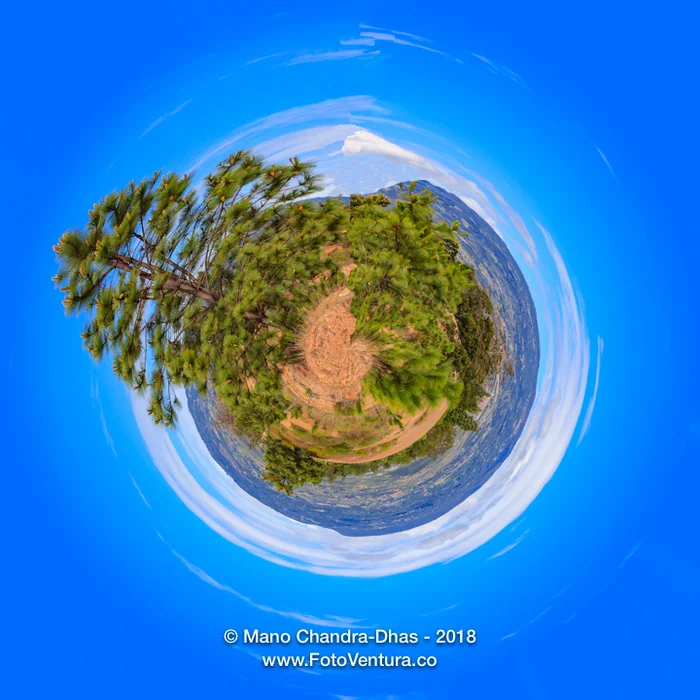 Villa de Leyva, Colombia - Pine Trees On The Andes Mountains