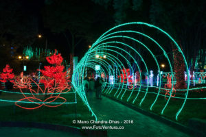 Bogota, Colombia - Christmas lights on Plaza Usaquen