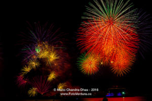 The Colour of Celebration, Dubai New Year