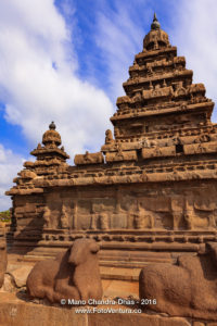 Mahabalipuram, India - 8th Century Shore Temple and Granite Cows