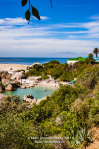 Boulders Beach near Cape Town, South Africa © Mano Chandra Dhas