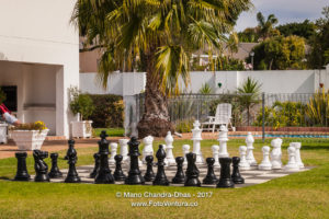 Open-air Chess in the garden © Mano Chandra Dhas
