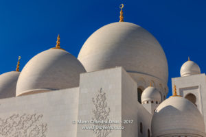 Zayed 5