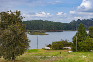 Colombia, South America - The Embalse Del Neusa On The Andes Mountains In The Cundinamarca Department, At Almost 10,000 Feet Above Mean Sea Level; Nature Background, No People. 1 Neusa 36