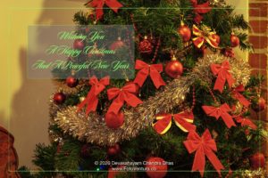 Christmas Background Bows And Baubles On Tree. Close Up