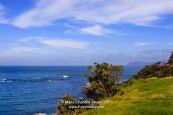 South Africa - Rocky Atlantic Coast © Mano Chandra Dhas