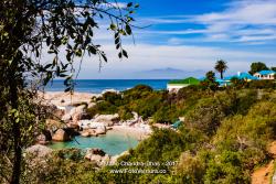 Boulders Beach near Cape Town, South Africa © Mano Chandra Dhas