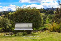 White Garden Bench on the Andes Mountains in Colombia, South America