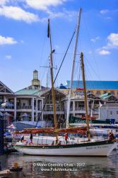 Cape Town, South Africa: Yacht docking at Victoria Wharf © Mano Chandra Dhas