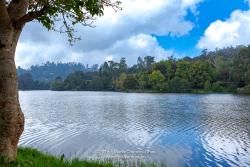 Kodaikanal, South India - Looking Across Kodaikanal Lake In The Colonial Town In The State Of Tamil Nadu