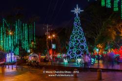 Christmas Lights In Bogota, Colombia