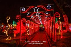 Christmas Lights In Bogota, Colombia