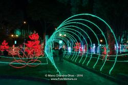 Christmas Lights In Bogota, Colombia