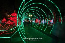 Christmas Lights In Bogota, Colombia