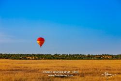 Balloon Safari