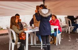 Bogotá, Colombia - People Voting at the Paz Referendum Plebiscite