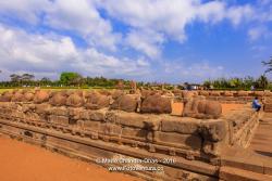 Mahabalipuram, Tamil Nadu, India - Ancient Granite Cows Lined Up Near the Shore Temple