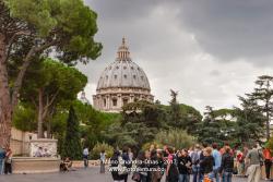 Vatican-8